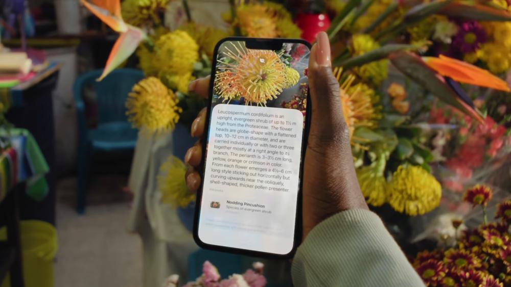iPhone identifying flower using visual search