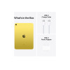 Apple iPad A2696 Apple A14 64 GB Storage 10.9" Touchscreen IPS iPadOS 16 Tablet