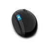 Microsoft Sculpt Ergonomic Wireless RF Mouse Black