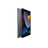 Apple iPad A2604 Apple A13 64 GB Storage 10.2 inch Touchscreen IPS iPadOS 15 Tablet