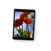 Apple iPad A2602 Apple A13 64 GB Storage 10.2 inch Touchscreen IPS iPadOS 15 Tablet