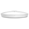 DrayTek VigorAP 912C MU-MIMO Mesh Wireless Indoor Access Point