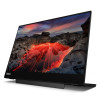 Lenovo ThinkVision Lenovo M14t 14" IPS LED Quad HD+ Touchscreen Monitor
