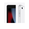 Apple iPad A2602 Apple A13 64 GB Storage 10.2 inch Touchscreen IPS iPadOS 15 Tablet