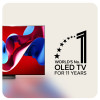 LG OLED evo C4 65" 4K Ultra HD SMART TV