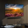 Samsung 2024 50" Q60D 4K UHD QLED Smart TV