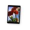 Apple iPad A2602 Apple A13 64 GB Storage 10.2 inch Touchscreen IPS iPadOS 15 Tablet